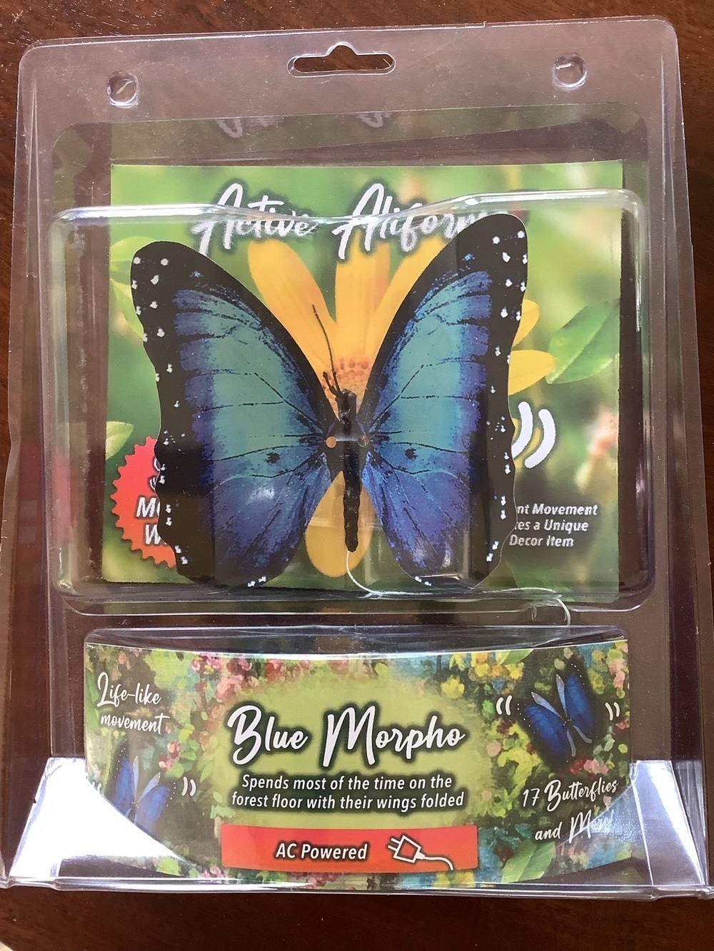 BNIB Blue Morpho Decorative Butterfly Wall Accent - Blue & Black